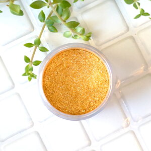 p[̋hS[hBVpS[h -Champagne Gold-p[}CJ 4gRXeBbNO[hiϕiO[hjibv bvOX ACVhE `[N RX 