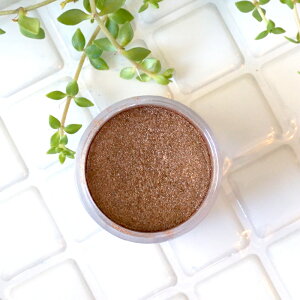 LL̋AS[WXnS[hBiCgVpS[h -Night Champagne Gold-p[}CJ 4gRXeBbNO[hiϕiO[hjibv bvOX ACVhE `