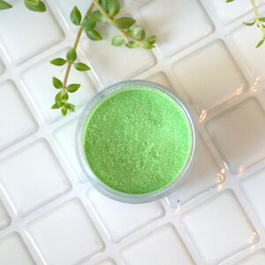 lIJ[ۂA߂̃O[B~gO[ -Mint Green-p[}CJ 4gRXeBbNO[hiϕiO[hjibv bvOX ACVhE `[N RX 