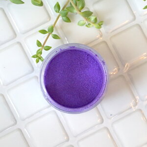 ꂼp[vƂhJ[Bp[v -Purple-p[}CJ 4gRXeBbNO[hiϕiO[hjibv bvOX ACVhE `[N RX Όj