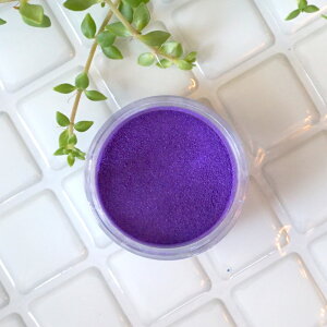 Igi̐FCp[vBp[vC -Purple Rain-p[}CJ 4gRXeBbNO[hiϕiO[hjibv bvOX ACVhE `[N RX Ό