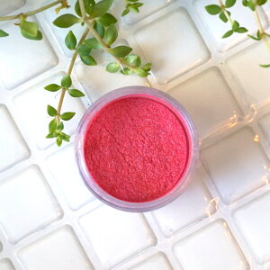 p[̋AVCj[n[YsNB[Y -Rose-p[}CJ 4gRXeBbNO[hiϕiO[hjibv bvOX ACVhE `[N RX Ό