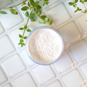 ̊Ap[zCgBVo[zCg -Silver White-p[}CJ 4gRXeBbNO[hiϕiO[hjibv bvOX ACVhE `[N RX 