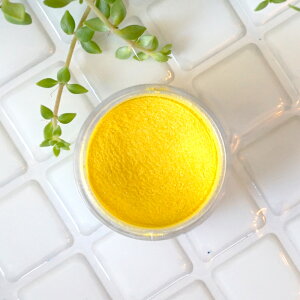 S[hƂ̗̑ǂA}`CG[BTj[CG[ -Sunny Yellow-p[}CJ 4gRXeBbNO[hiϕiO[hjibv bvOX ACVhE `[N RX