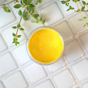 F̗ǂhCG[BCG[ -Yellow-p[}CJ 4gRXeBbNO[hiϕiO[hjibv bvOX ACVhE `[N RX Όj