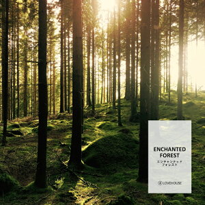 y10mlztbVȐ[΂̍ G`ebhtHXgtOXICi{fBZ[t^Cv A}NtgpjEnchanted Forest Oil /Ό  oX{ [Xv[ TV