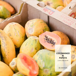 y30mlzẪgsJ~bNX RR}S[ppC tOXICi{fBZ[t^Cv A}NtgpjCocomango & Papaya Fragrance Oil /Ό  oX{ [Xv