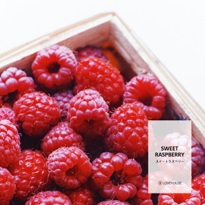 y50mlzq͂̍Î_ς XC[gYx[tOXICi{fBZ[t^Cv A}NtgpjSweet Raspberry Fragrance Oil /Ό  oX{ [Xv[ T