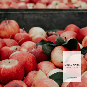y30mlzX[L[ȃAbv̍ XpCXhAbvtOXICi{fBZ[t^Cv A}NtgpjSpiced Apple Fragrance Oil /Ό  oX{ [Xv[ TV