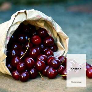 【10ml】甘いキャンディのような香り チェリーフレグランスオイル(ボディセーフタイプ アロマクラフト用)Cherry Fragrance Oil /手作り石鹸 香水 バスボム ルームスプレー サシェ ディフューザ