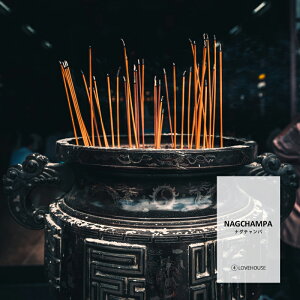 y50mlzNԃxXgZ[̃AWAeCXg iO`ptOXICi{fBZ[t^Cv A}NtgpjNag Champa Fragrance Oil /Ό  oX{ [Xv[ TV