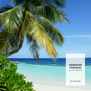 y10mlzRRibcDȕ nCAp_CXtOXICi{fBZ[t^Cv A}NtgpjHawaiian Paradise Fragrance Oil /Ό  oX{ [Xv[ T
