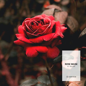 y10mlzZNV[œ߂ [YXNtOXICi{fBZ[t^Cv A}NtgpjRose Musk Fragrance Oil /Ό  oX{ [Xv[ TVF fBt[
