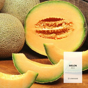 y50mlz悢ÂNZɂȂ tOXICi{fBZ[t^Cv A}NtgpjMelon Fragrance Oil /Ό  oX{ [Xv[ TVF fBt[U[ 