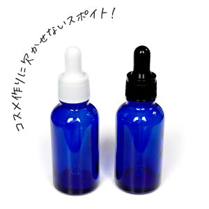 ϖiEσAR[ KXX|CgtՌru[50mlTCYi荁 X|CgLbv  Ռr hbp[ {gj