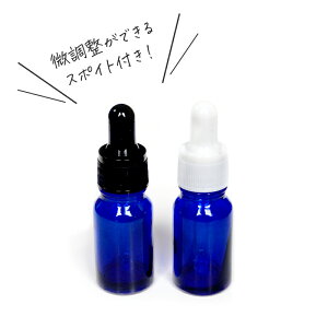 ϖiEσAR[ KXX|CgtՌru[10mlTCYi荁 X|CgLbv  Ռr hbp[ {gj