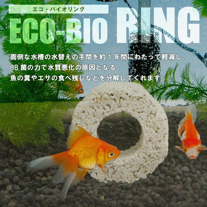 楽天市場 Bigbio エコ バイオリング 水槽用 水質浄化材 水換えの手間軽減 水槽 水質改善 微生物 糞 エサ 餌 食べ残し 分解 エコバイオリング ビッグバイオ 水槽 水中 アクアリウム 熱帯魚 観賞魚 水質浄化 コケ 苔 濁り アンモニア 匂い 臭い ニオイ 防止 防臭 予防