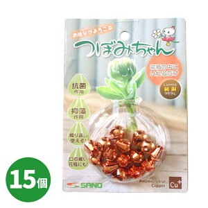 ڂ݂i߁j 15 A-12 @H /   Rۍp  ؂  ԕr Ԋ   { CI ֗ObY t[L[p[ s \h | ؂ԉ