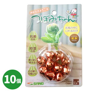 yVizڂ݂ 10 A-18 @H /   Rۍp  ؂  ԕr Ԋ   { CI ֗ObY t[L[p[ s \h | ؂ԉ