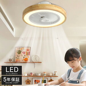 y5Nۏ؁z 2024 V[OCg V[Ot@ V[Ot@Cg ^ 50cm led F k T[L[^[ ȃGl  t@tƖ Ɩ VƖ @ dc