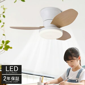 V[OCg V[Ot@ V[Ot@Cg ^ 65cm 88cm led F dsv k T[L[^[ ȃGl rOp  t@tƖ Ɩ VƖ 