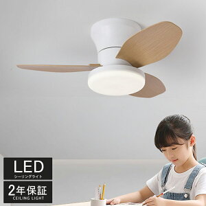 V[OCg V[Ot@ V[Ot@Cg ^ 65cm 88cm led F dsv k T[L[^[ ȃGl rOp  t@tƖ Ɩ VƖ 