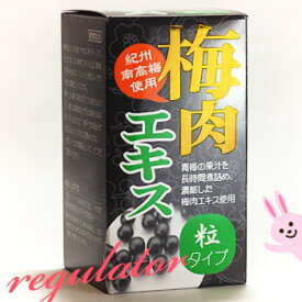 【アウトレット】（紀州産南高梅使用） 梅肉エキス 粒タイプ 約350粒 ※訳あり（ワケアリ）／箱つぶれ・賞味期限切迫など