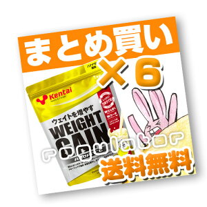 i܂ƂߔjyKentaizEFCgQC AhoX oiie 1kg×6 ijyP^CEN̗͌z