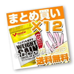 i܂ƂߔjyKentaizEFCgQCAhoX oiie 360g×12 ijyP^CEN̗͌z