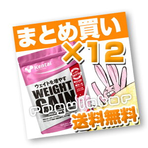 i܂ƂߔjyKentaizEFCgQCAhoX Xgx[ 360g×12 ijyP^CEN̗͌z