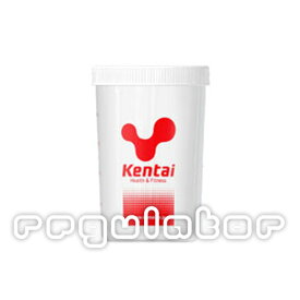 【Kentai】シェーカー 500ml （プロテイン用）シェイカー【ケンタイ・健康体力研究所】