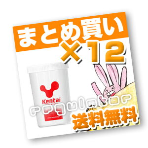 i܂ƂߔjyKentaizVF[J[ 500ml×12 ijiveCpjVFCJ[yP^CEN̗͌z