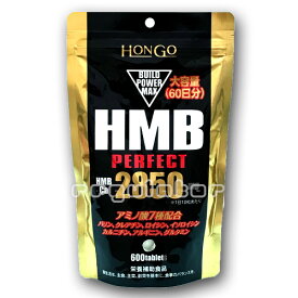 （送料無料）大容量（60日分）ビルドパワーマックス HMB PERFECT 350mg×600粒