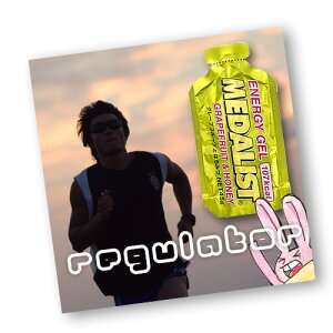 yjO^}\^p[WFzij _Xg GiW[WF^ENERGY GEL@O[vt[cƂ݂͂ i1P[X^12j