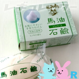 \o[@nΌiqmL̍j fP[gȔ̐lEԂ̟ɂ