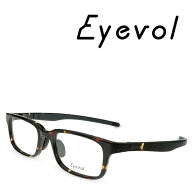 Eyevol アイヴォル BECK DM-LG DEMI LIGHT GREYメガネフレーム メンズ レディース スポーツ アウトドア …