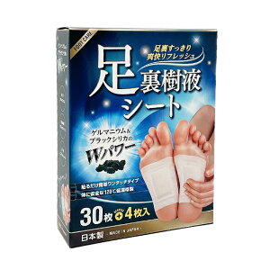 tV[g 30{4b\邾ȒP Q}jE ubNVJ  utbV qmL`I[ bNX^C ꂽ fgbNX ĝ̃eiX