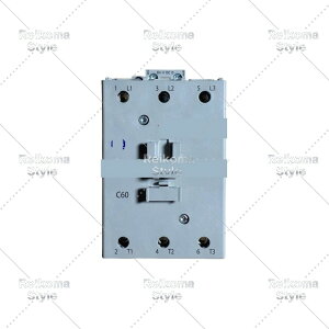 �y�V�i���K�i���������ō��z100-C60DJ00 �y6�����ۏ؁z