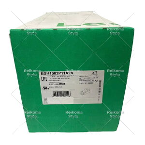 �y�V�i���K�i���������ō��zBSH1002P11A2A �y6�����ۏ؁z