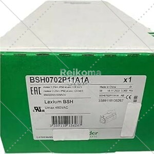 �y�V�i���K�i���������ō��zBSH0702P11A1A �y6�����ۏ؁z