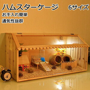 nX^[P[W nX^[nEX P[W 킢 aP[W bg nlY~ X T wbWzbO ybg  ঒ N[[nEX |N ʋC 