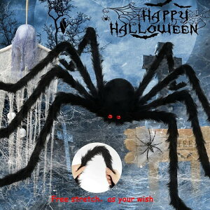  w w N XpC_[ ~ nEB  Nʂ | 90cmp[eB[ nEB[ p[eB[   ~v  蕨