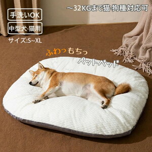 ybgxbh ӂӂ 킢  L ^ xbh ʔN \  ybg M LTCY 2^Cv \t@ I[o NbV }bg _炩  2 10kg h