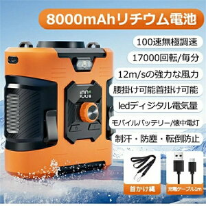 |GARt@ |[^uGAR |╗ 100iK ͂ȕ |[^u@  ^ gѐ@ WFbgt@ ȃGl É h hf 8000 usb[d ϏՌ