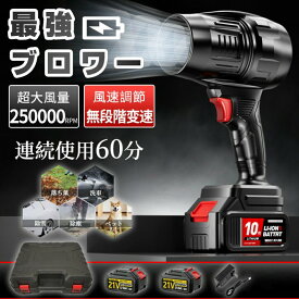 ブロワー 洗車 充電式ブロワー ブロワ 強力電動エアダスター ジェットドライブロワー 120m s 250000rpm 高速回転 軽量 小型 コードレスブロワー 日本製ターボジェットフ 21V 多用途