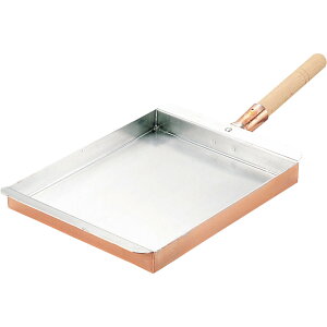 ېV@ʎqĊ֓^30cm