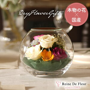 ft[ { {gt[ hCt[ o v[g Mtg CeA җj a ̓ hV̓ NLO ACj  t[ KX Bowl MS