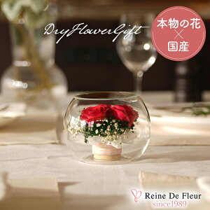 �����f�t���[�� ���{�� �{�g���t�����[ �h���C�t�����[ �v���[���g �M�t�g �C���e���A �җ�j�� �a���� ��̓� �h�V�̓� ���N�L�O �A�C�j�� �� �t���[�� �K���X Bowl S