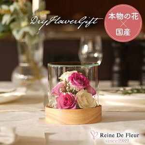 ft[ { {gt[ hCt[ o v[g Mtg CeA җj a ̓ hV̓ NLO ACj  t[ KX Tube S