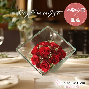 ft[ { {gt[ hCt[ o v[g Mtg CeA җj a ̓ hV̓ NLO ACj  t[ KX Sui L